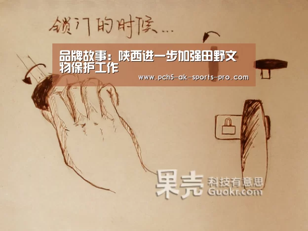  体育数据平台