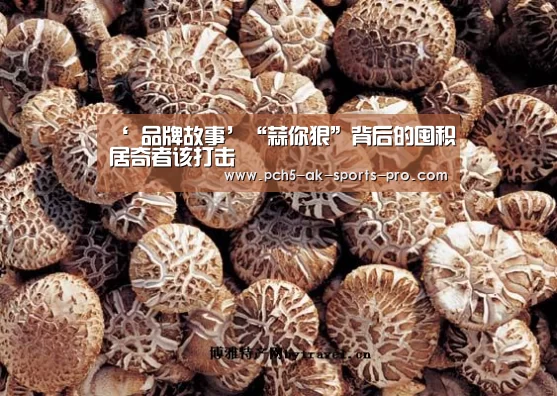  体育数据平台