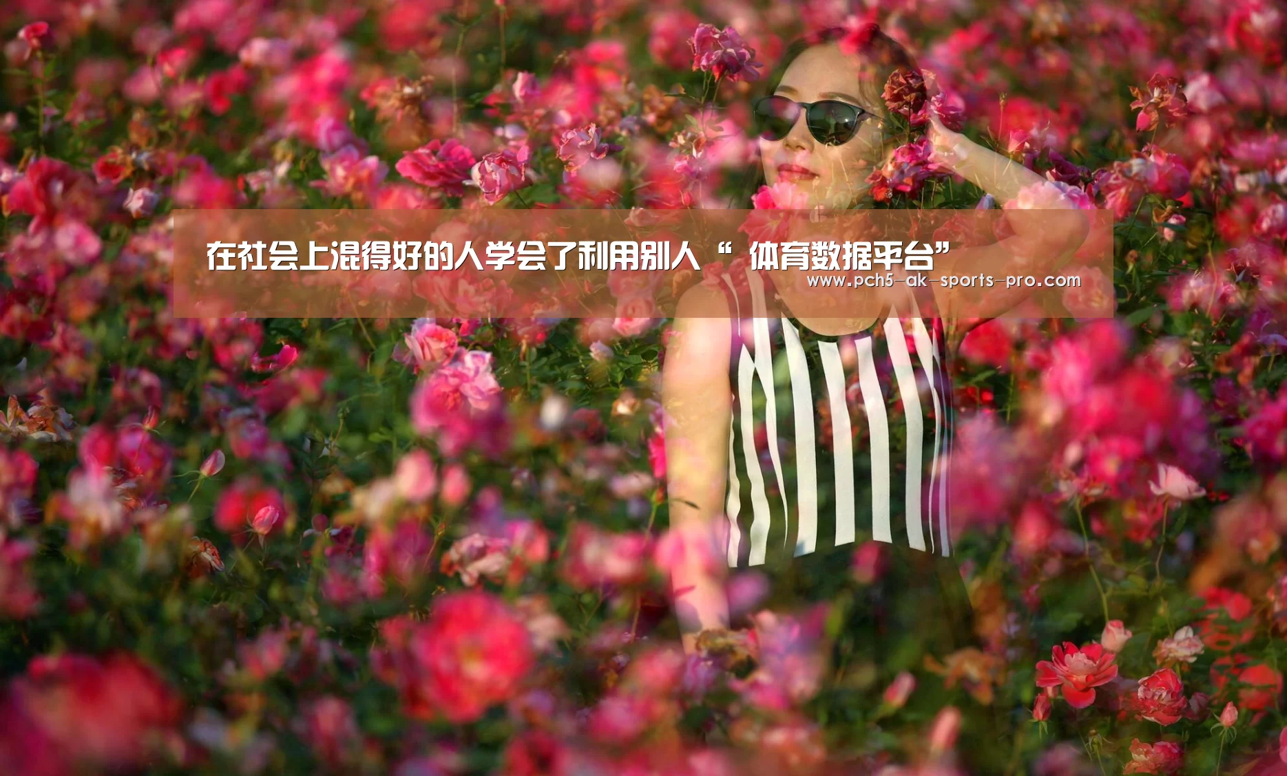 在社会上混得好的人学会了利用别人“ 体育数据平台”(图1) 数据驱动
