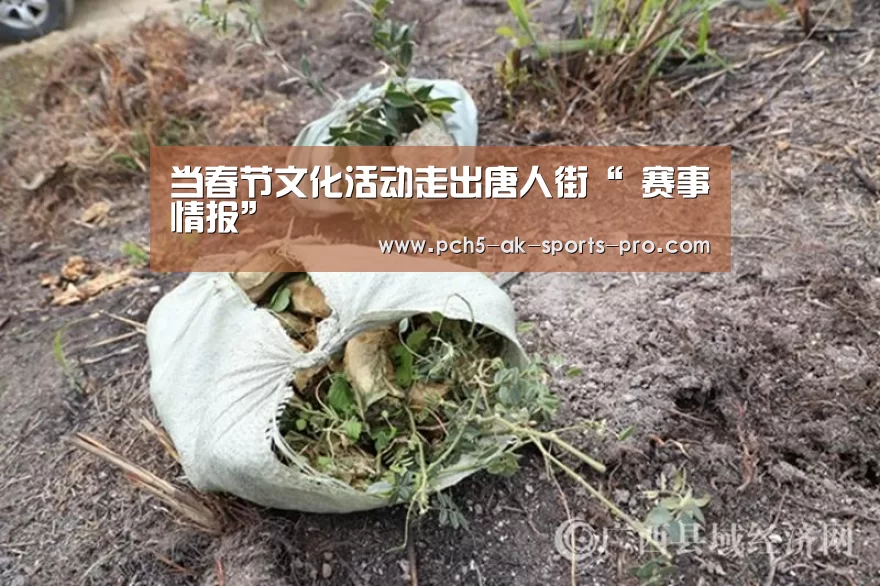  体育数据平台